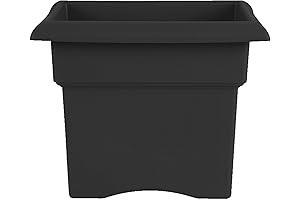 Bloem Veranda Square Planter Insert