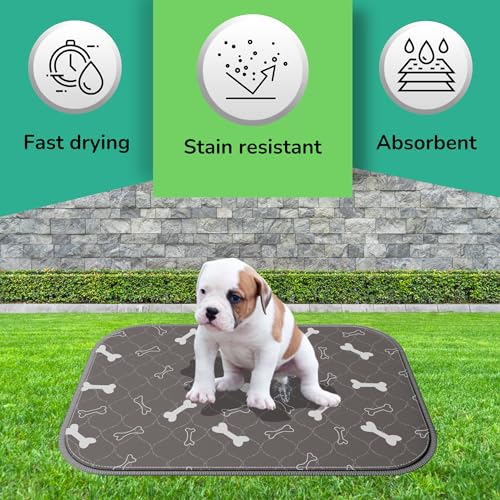 Image of EWISE Shop - 2 Pack EWISE Shop - Pee Pads for Dogs Reusable Washable Pee Pads & Non-Slip Puppy Training Pads Eco-Friendly Pee Mats for Dogs Absorbent & Odor-Controlling (Grey, Small)