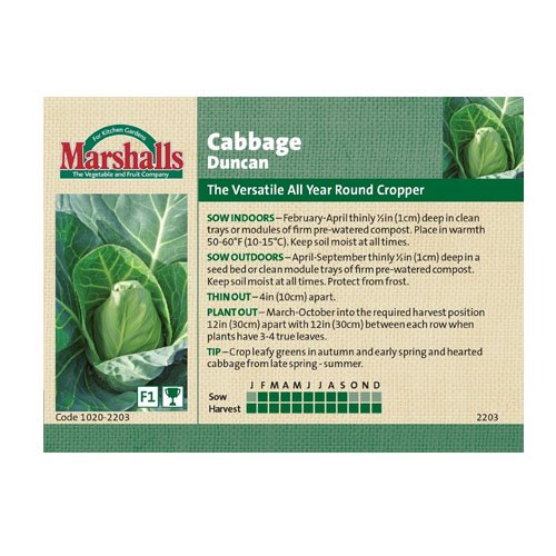 Unwins Cabbage Duncan Seeds