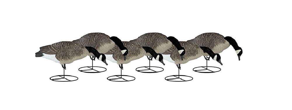 Dakota Decoy Signature Series Flocked Goose Decoys 6 Pack, Feeder