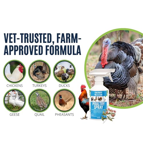 Image of Colton's Naturals Poultry Spray 32 oz - for Chickens - Helps with Mites, Lice, Fleas & Scaly Leg - Safe for Coops, Birds & Backyard Poultry