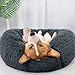 Hund und günstig Kaufen-Katzenbett Hundebett,Kuscheliges und Weiches Flausching Hundebett und Katzenbett,Kompressionswiderstand und Waschbar Donut Haustierbett,für Kleine Bis Mittelgro ß e Hunde und Katzen(60CM,Dunkelgrau)