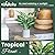 WUKOKU 16" Small Fake Plants Artificial Potted Faux Plants Desk Plant for Home Office Farmhouse Kitchen Shelf Indoor Decor
