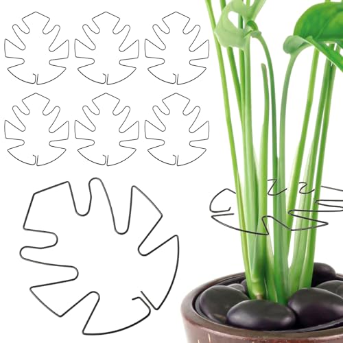 Bensbl 6 Pcs Large Iron Monstera Plant Support, Monstera Shaped Indoor Plant, Stable Plant Stem...