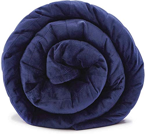 LAVEDER Plush Weighted Blanket King Size 25lbs(80''x87'',Navy) for Couple/Adult,Luxury Minky Heavy Blankets with Super Soft Breathable Velvet,Washable Heavy Blankts with Glass Beads