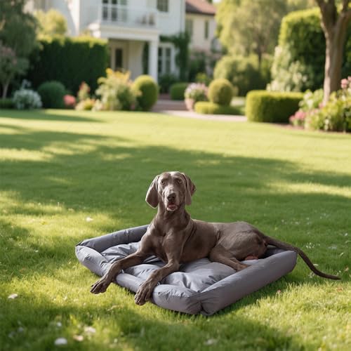 Wasserdicht waschbares Katzen und Hundebett mit Stabiler Seitenwand für kleine mittlere Tiere bis 25kg rutschfest Grau(L, 90x60x11 cm)