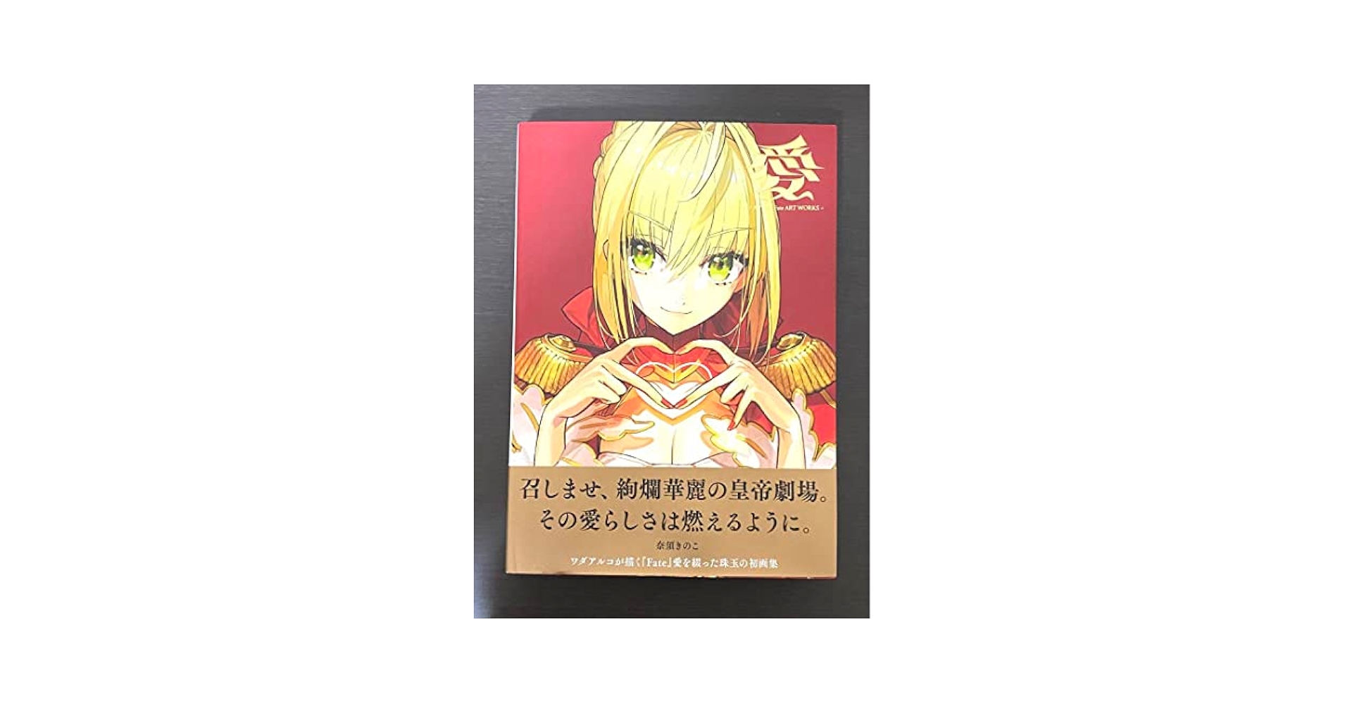 Amazon.co.jp: ワダアルコ 愛 -Fate ART WORKS- 画集 ICO6SCEM