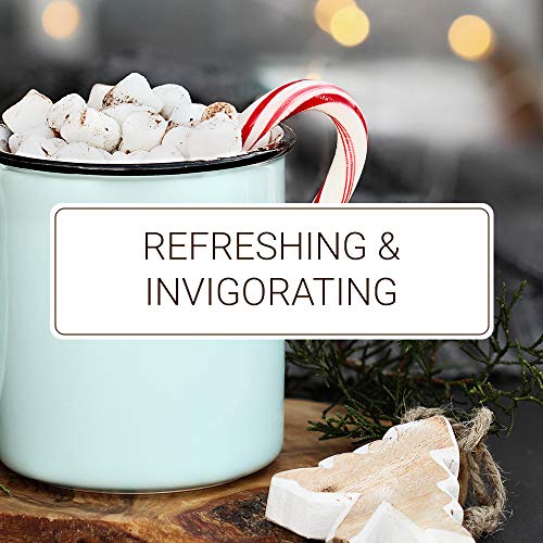 Monin - Peppermint Syrup, Cool Mint Flavored Syrup, Coffee Syrup, Natural Flavor Drink Mix, Simple Syrup For Cocoas, Mochas, Smoothies, Sodas, & More, Gluten-Free, Non-Gmo, Clean Label (750 Ml) #TOP2