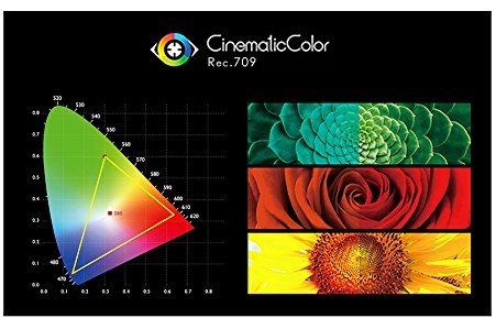 Amazon.co.jp: SEETEC P133-9HD 13.3インチ プロのモニター 4K