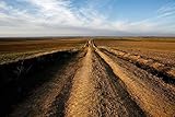  Fotografía para decorar/Obra firmada por el autor/Un camino atraviesa la comarca de Tierra de Campos en la provincia de Valladolid. Castilla y León. España © Javier Prieto Gallego