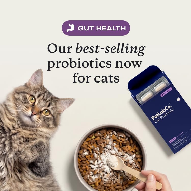 PetLab Co. Probiotics for Cats, Support Gut Health, Occasional Diarrhea, Digestive Health & Immune Support - Easy to Use - 30 Count - image 2