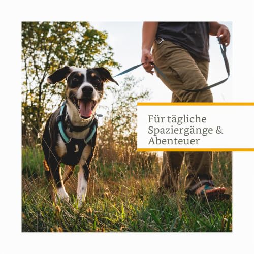 Ruffwear Hi & Light Geschirr Basalt Gray S