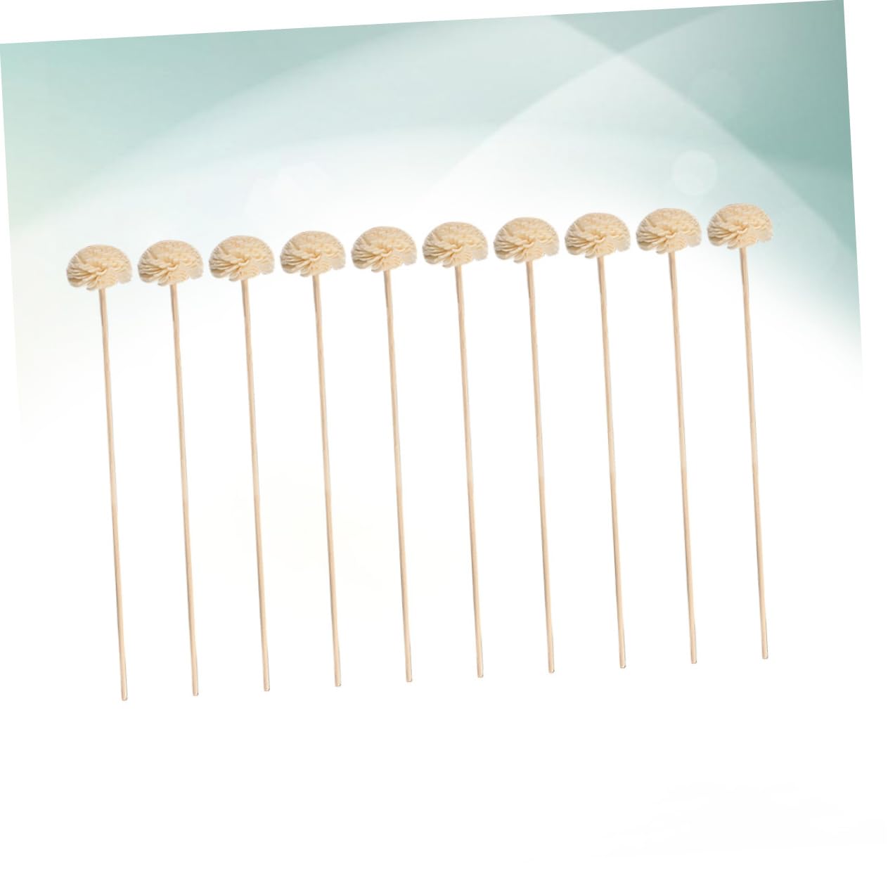 RORPOIR Flower Aroma Stick Diffuser Set 10pcs Essential Oil Sticks for DIY Aromatherapy Non-Flame Design