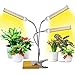 KINGBO Newest 50W Led Grow Light Bulb for Indoor Plants, Super Bright 100 LEDs Sunlike Full Spectrum Grow Lamp White, Dual Head Gooseneck Desk Plant Light with 2-Switch, Replaceable Bulb (2019 Update)