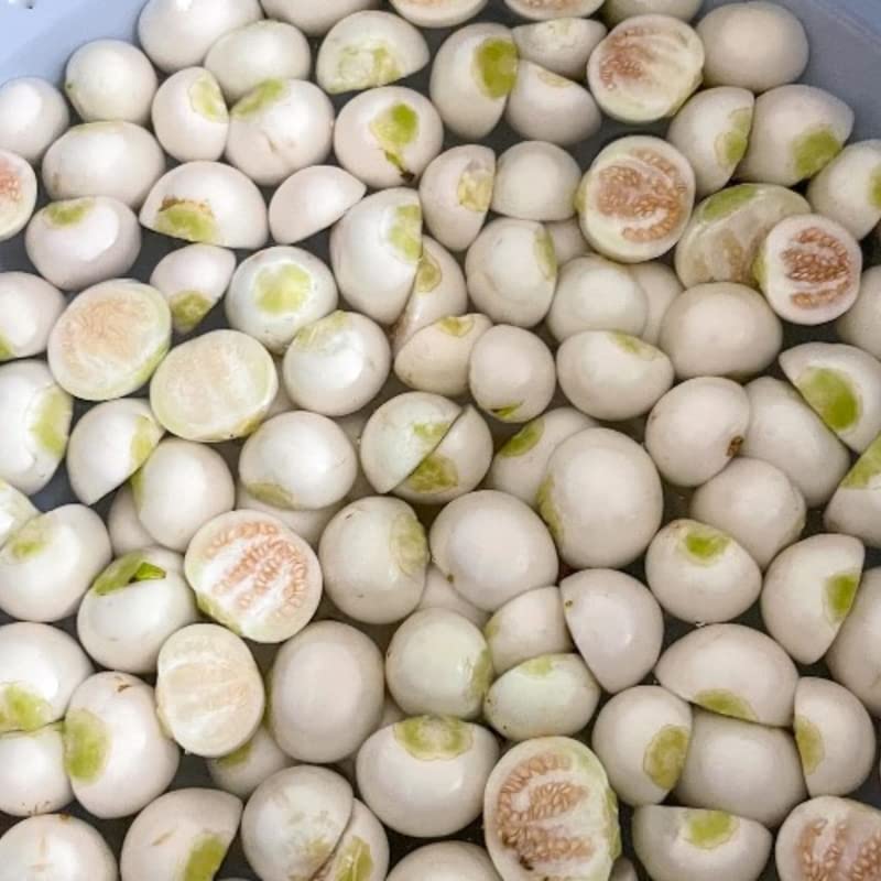 Price: €2.45 - African eggplant Seeds (Solanum aethiopicum
