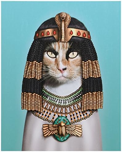 Empire Art Direct Pets Rock Cleopatra Graphic Wrapped Canvas Cat Wall Art, 20" x 16" x 2", Ready to Hang