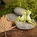 Top Collection Miniature Fairy Garden and Terrarium Statue, Frog Friends on Stone