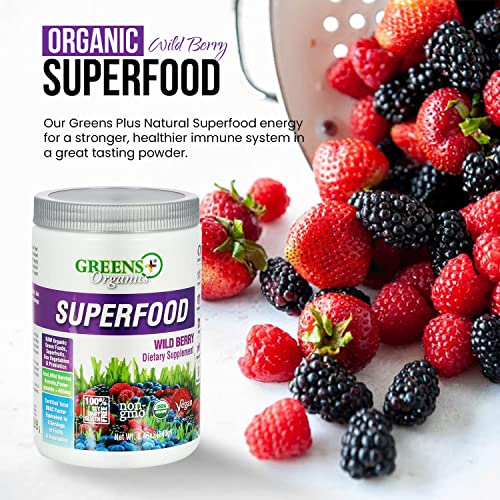 Greens+ Organic Wild Berry Superfood Powder, Antioxidant Polyphenol, Blend for Morning Kick, Energy, Vitality Boost, Nutrition, Vibrant Health, Dietary Supplement, Vegan Soy/Dairy/Gluten Free(8.46oz) - Image 4