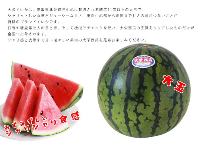 Amazon.co.jp: すいか 大栄スイカ 優品 特大玉 11kg 1玉 鳥取県 大栄町