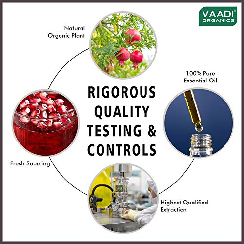 Image of VAADI HERBALS Vitamin E Anti Ageing Serum With Pomegranate Oil - Reduces Fine Lines, Lightens Wrinkles & Brightens Complexion, 10 ml