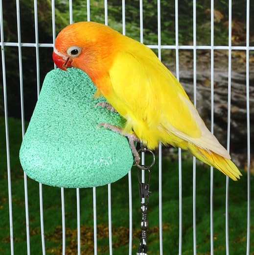 PengLAI Eco-Friendly Bird Perch & Toy, 13in Chewable Perch for Cage Safe Grinding Stone for Beak & Nails - Image 3