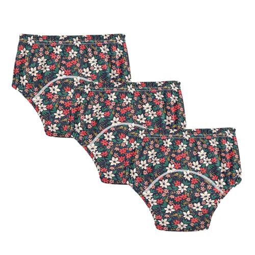 Caihoyu Ropa interior para bebés y niñas, para entrenamiento de orinal, absorbe el agua, humedece la cama, ropa interior para dormir para niñas pequeñas, Patrón colorido floral de invierno con