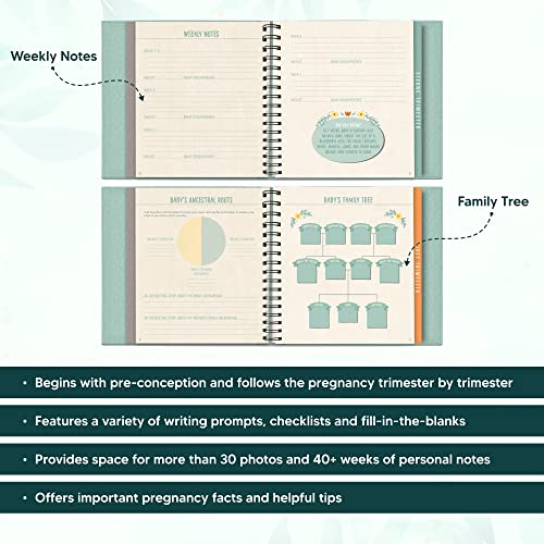 Image of Guided Pregnancy Journal by Studio Oh! - Bump for Joy - 9 inch x 9 inch - Beautifully Illustrated Hardcover Journal with Storage Pockets Creates a Keepsake of Maternity Memories