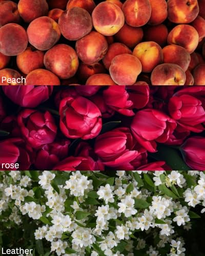 Image of TOXICMALE My Burbe**y + Coco | Perfect Long lasting Women's perfume for Daily use| perfumes for Women | Gift for her | TMA29 | 50 ml perfume | TM Perfume House