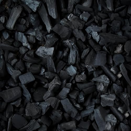 Image of Go Garden Horticultural Charcoal 450g for Orchid, Succulent, Adenium, Terrarium & Gardening | Natural Soil Filter + Long Burning Coal for Havan, BBQ, Cooking & Pooja Dhoop
