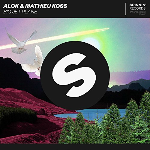 Alok & Mathieu Koss