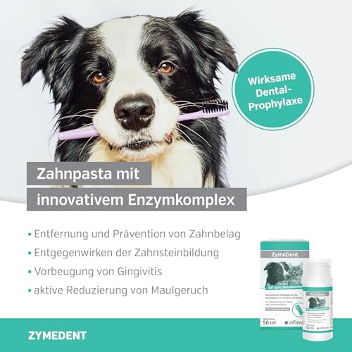 alfavet ZymeDent, Enzymatische Zahnpasta für Hund und Katze bei Plaque, Zahnstein, Maulgeruch und Zahnfleischentzündung, Tube 50ml mit Fingerzahnbürste