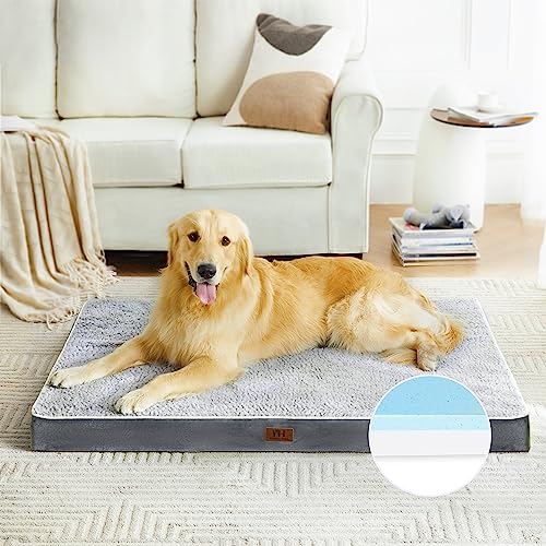 10 Best Big Barker Crate Reviews and Buying Guide for Pet Lovers in