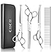 Forbici Toelettatura Cani, CIICII 6,5" Set Forbici per Cani Professionali (Cane/Gatti Forbici Parrucchiere Sfoltire & Curve) per Toelettatura Gatto Animali Fai Da Te (Punta Tonda-9 Pcs-Argento)