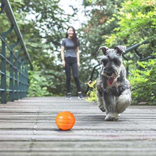 POPETPOP 3 PeÃ§as de Brinquedo para Mastigar Osso de Cachorro Pet Brinquedos de Mordida Estridente F