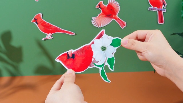 Amazon.com: Photect 8 Pcs Cardinal Bird Screen Door Magnets