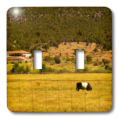 Une vache Galloway ceinturée plaque interrupteur 3dRose lsp_59443_2 pour décoration de ranch