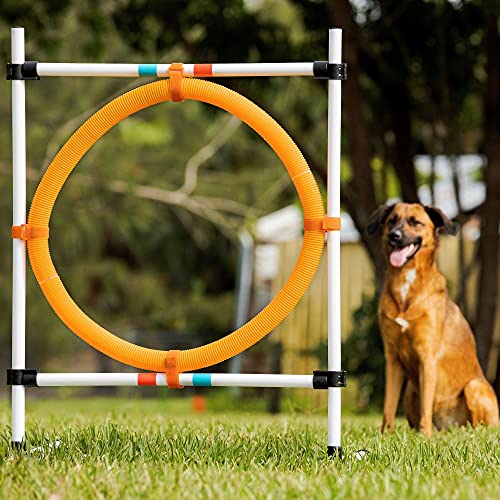 Midlee Dog Agility Hoop Jump - Thumbnail 6