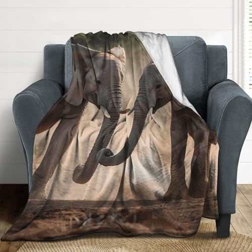 Plaid éléphants microfibre pour soirées cocooning sur canapé - 5