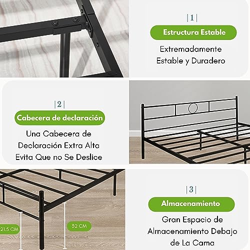 Queen Size, Home Imagen adicional