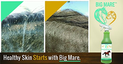 Big Mare All Purpose Horse Skin & Wound Care | Clinically Approved Formula | First Aid: For Girth Itch, Crud, Itchy Manes & Tails & Hair Loss | 32Oz Bottle Veterinarian Approved & Recommended #TOP2