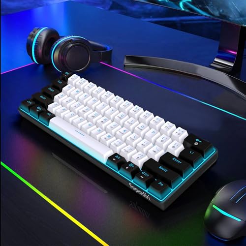 Image of Snpurdiri 60% Wired Mechanical Gaming Keyboard (Black-White, Blue Switches) | Ice Blue LED Backlit 61 Keys Mini Wired Office Keyboard for Windows Laptop PC Mac