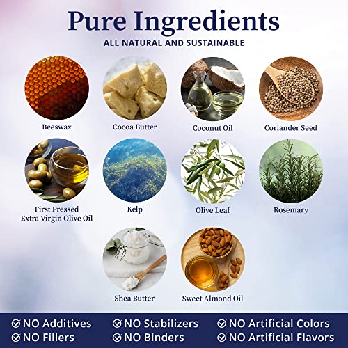 Biopure Night-Time Deodorant – Organic & All-Natural Botanicals, Emollients And Herbal Extracts To Balance Ph, Reduce Odors, Detox Skin, And Support Lymphatic Circulation – 2.5Oz #TOP2