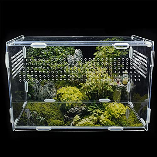 Xuanshengjia Reptiel fokken doos, Reptielen voeden Container Aquarium fokken Tank, Acryl voeden vak voor Spider Hagedis… - Afbeelding 4