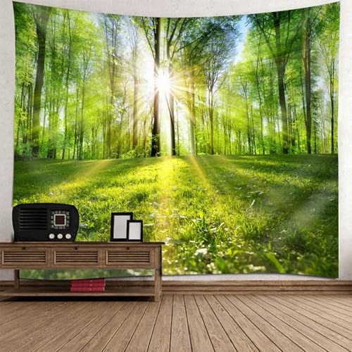 Tenture murale nature pour cacher un mur blanc tapisserie arbres lumineuse 210x140cm