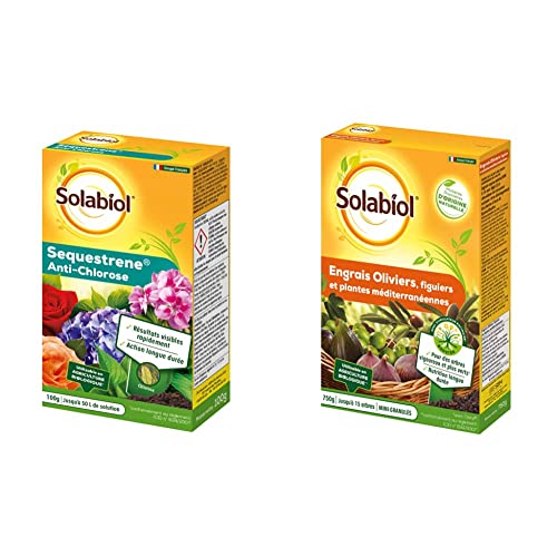 Solabiol Sequestrene antichlorose 100g avec engrais oliviers figuiers 750g
