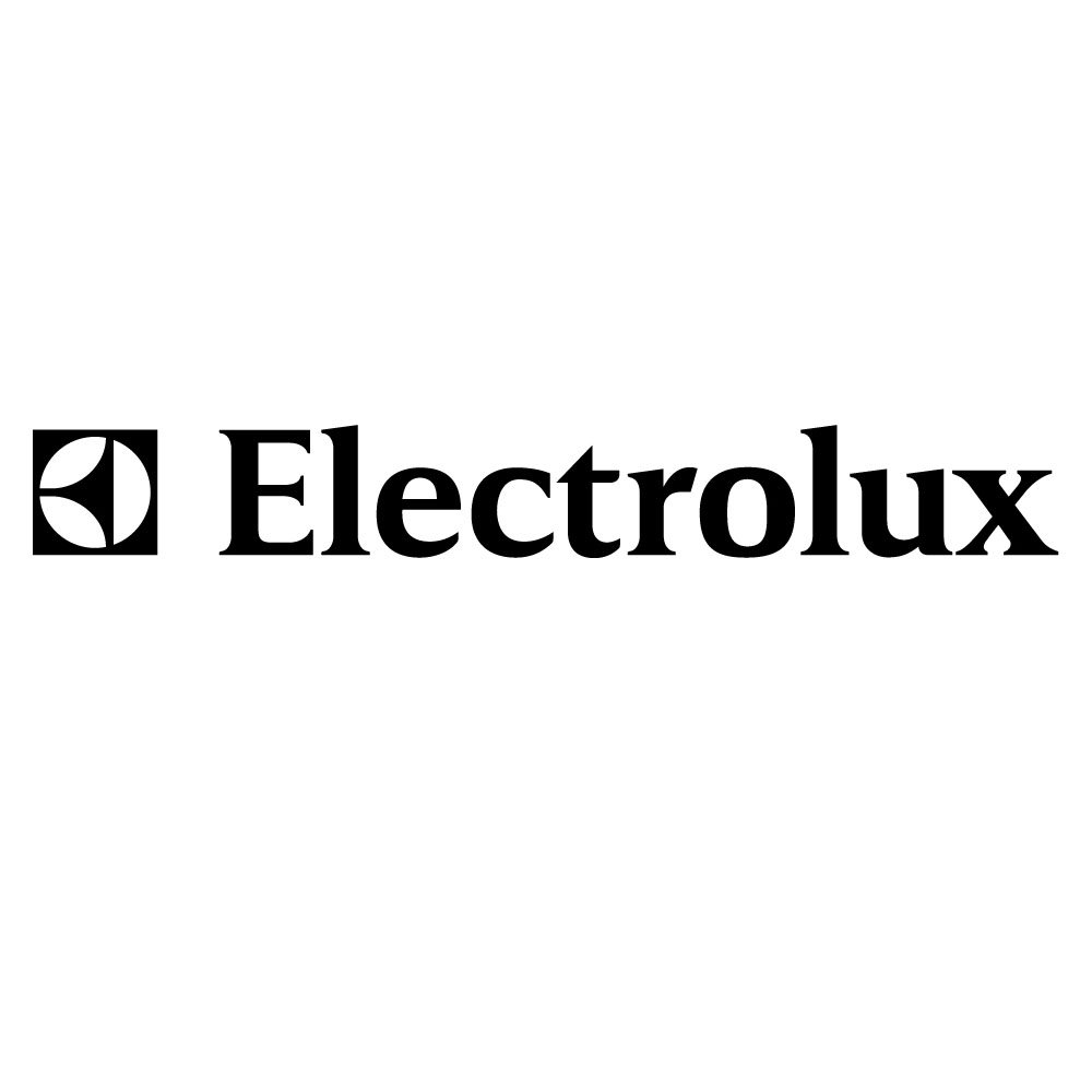 Electrolux Discovery Upright Vacuum Cleaner Bags, showing a pack of 12 bags.