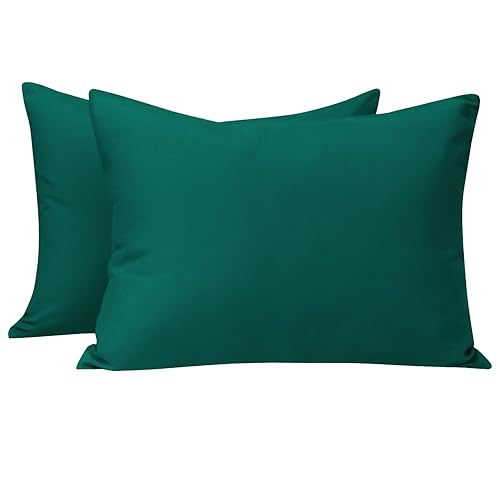 NTBAY Juego de 2 fundas de almohada con cremallera para niños pequeños, 100% microfibra cepillada de 13 x 18 pulgadas, súper suaves y acogedoras