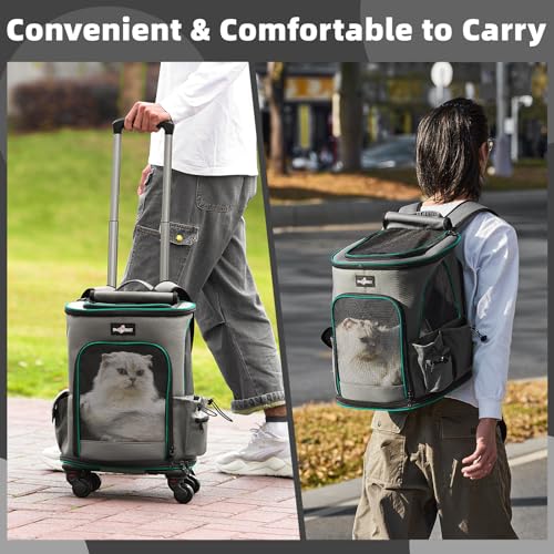 Cat-Carrier-Backpack-with-Wheels-Expandable-Rolling-Pet-Carrier-with-Breathable-Mesh-Removable-Cat-Dog-Backpack-Carrier-with-Storage-Pocket-for-Small-Medium-Cat-Dog-Under-20LBS