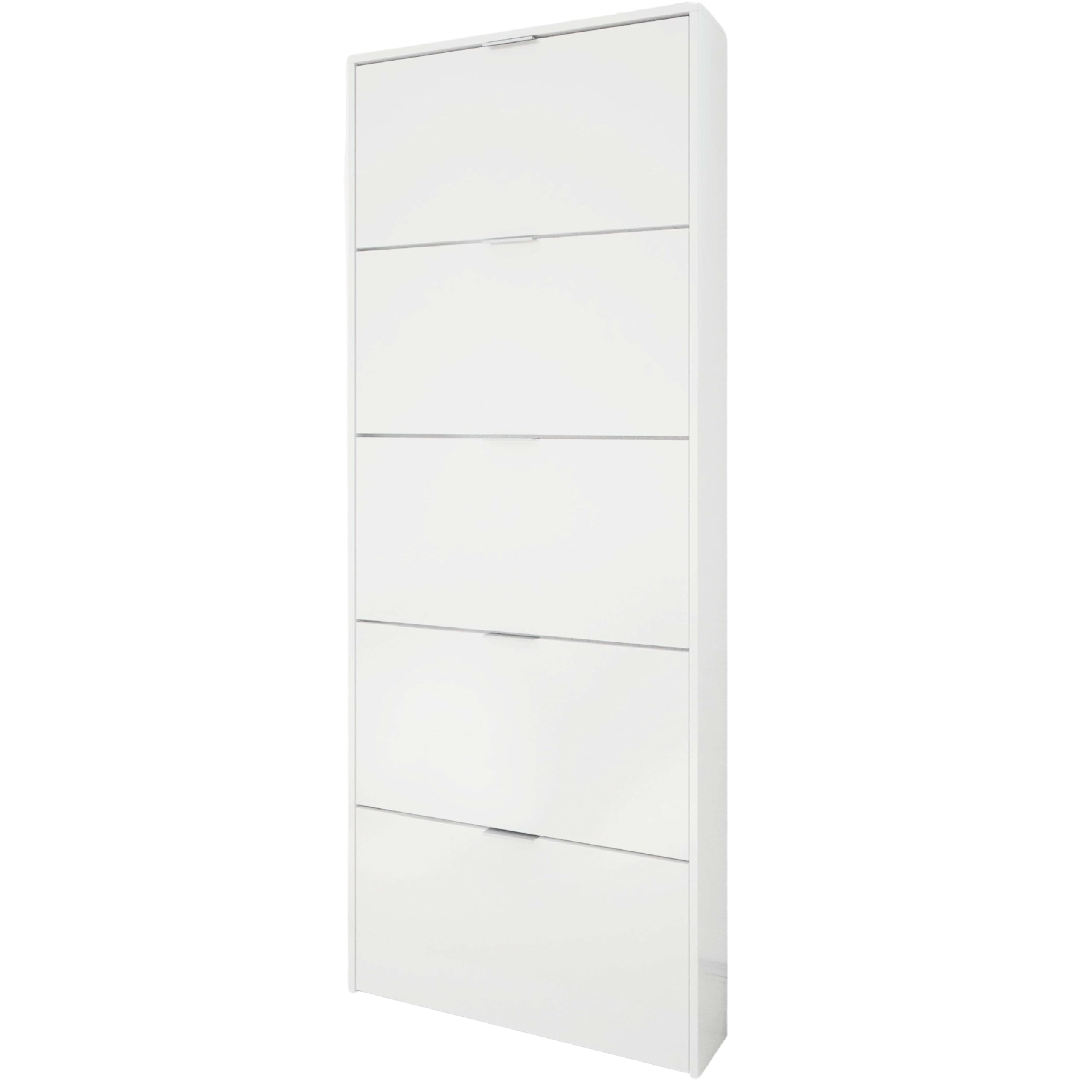 Habitdesign – Zapatero 5 Puertas, Color Blanco Brillo, Mueble Zapatero Alto 15 Pares, 180x70x17 cm – Modelo Shoe Cabinet