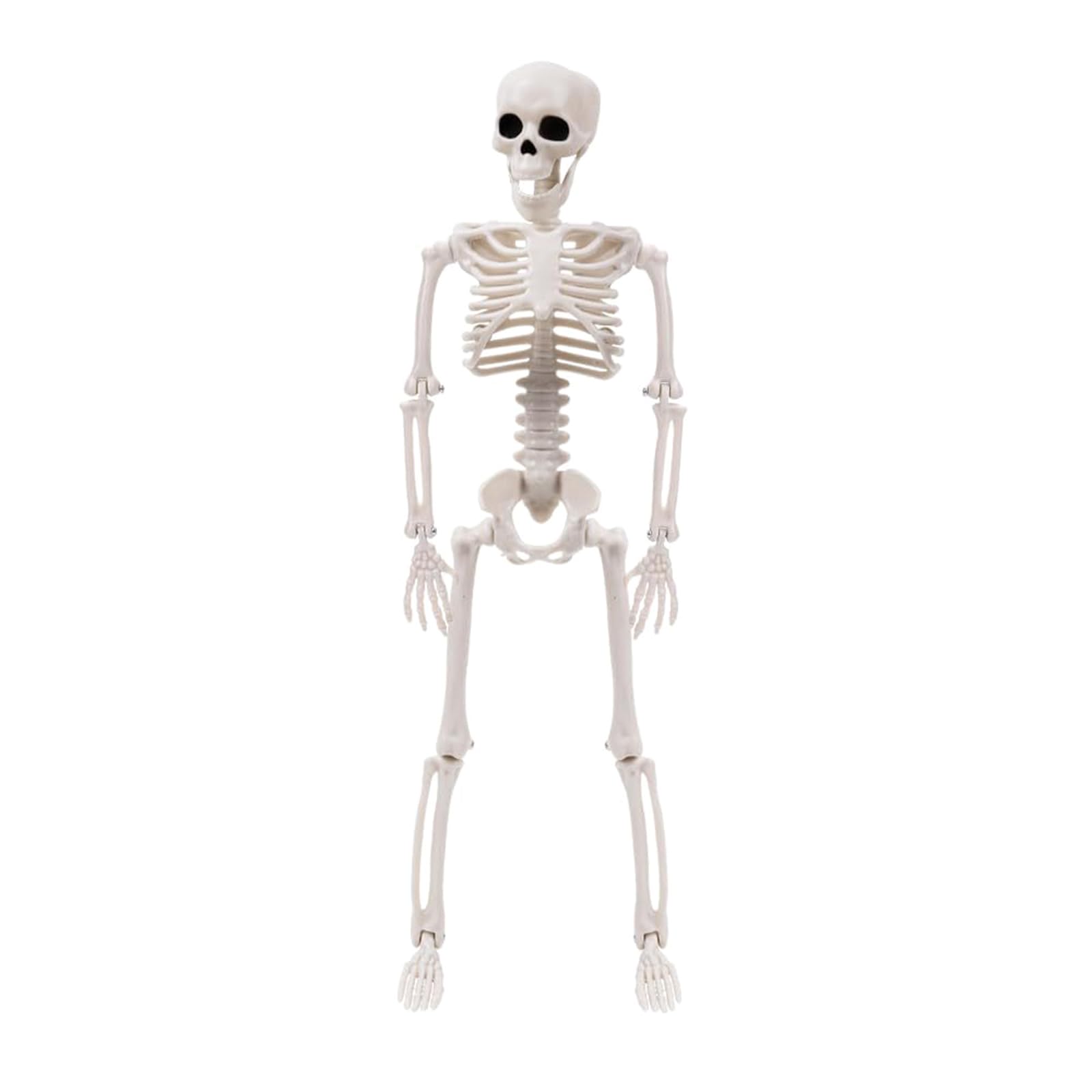 Tsophreniq Halloween Skull Scene Decor and Design for Parties, Shop Haunting Effect Halloween Skeleton